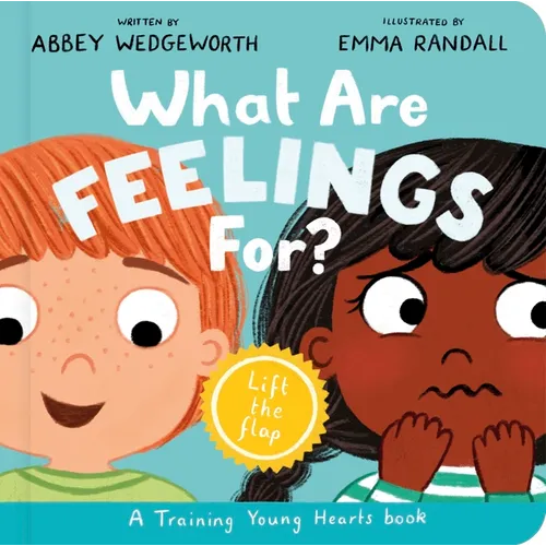 What Are Feelings For? Board Book: A Lift-The-Flap Board Book - Board Book