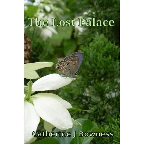 The Lost Palace - Paperback