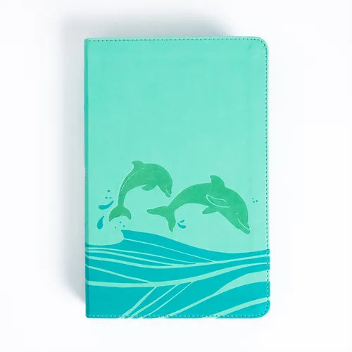 KJV Easy-For-Me Bible for Early Readers, Seafoam Leathertouch - Imitation Leather