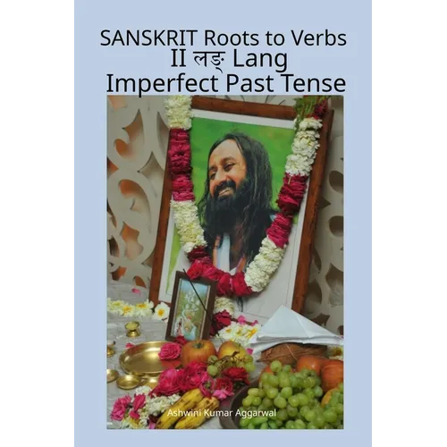 Sanskrit Roots to Verbs II Lang Imperfect Past Tense - Paperback