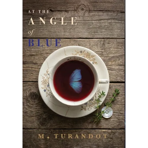 At the Angle of Blue - Hardcover