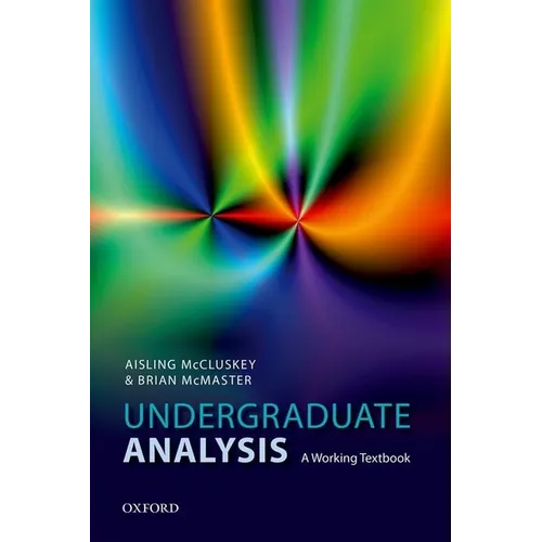Undergraduate Analysis: A Working Textbook - Paperback