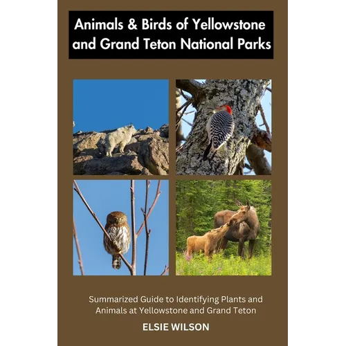 Animals and Birds of Yellowstone and Grand Teton National Parks: Guide to Exploring Animals and Birds of Yellowstone and Grand Teton - Paperback