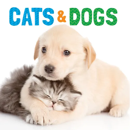 Cats & Dogs - Board Book