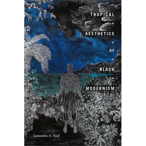 Tropical Aesthetics of Black Modernism - Paperback
