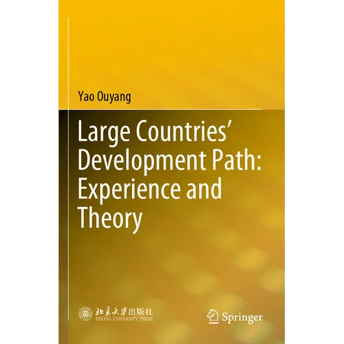 Large Countries' Development Path: Experience and Theory - Paperback