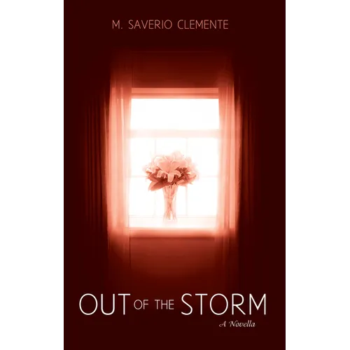 Out of the Storm: A Novella - Paperback