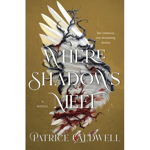 Where Shadows Meet - Hardcover