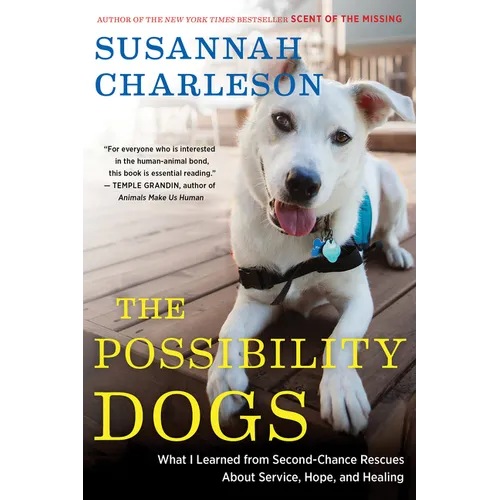 The Possibility Dogs: What a Handful of 