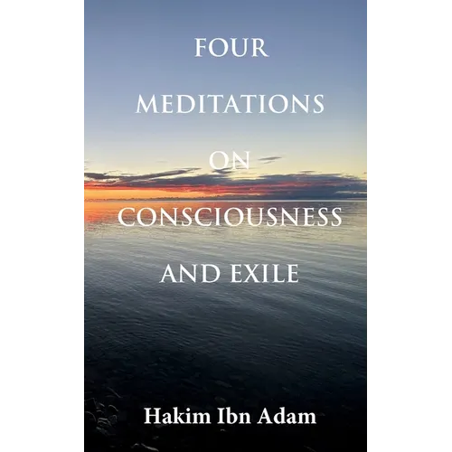 Four Meditations on Consciousness and Exile - Paperback