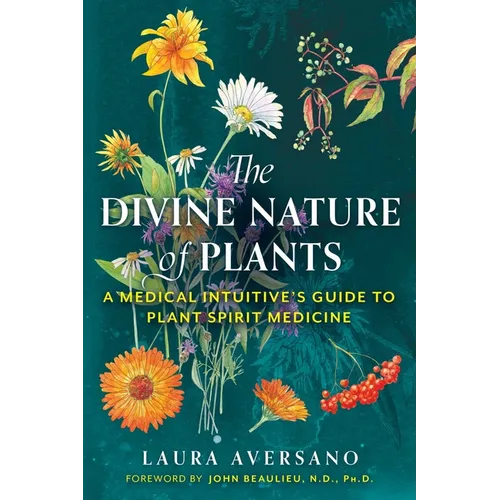 The Divine Nature of Plants: A Medical Intuitive's Guide to Plant Spirit Medicine - Paperback