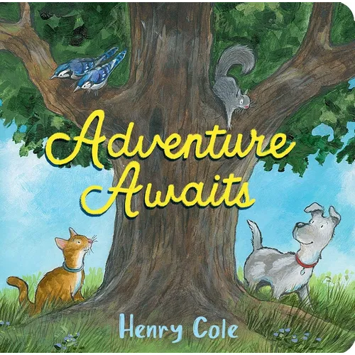 Adventure Awaits - Board Book