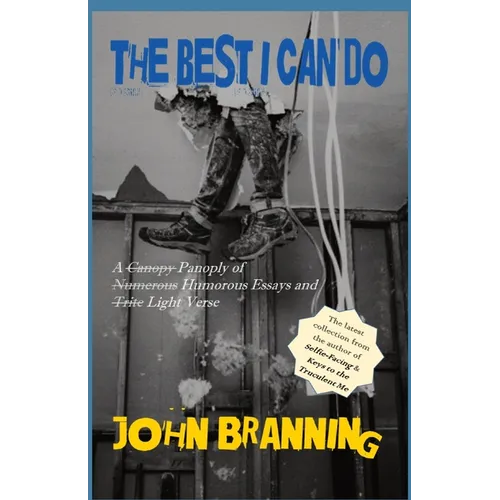 The Best I Can Do - Paperback
