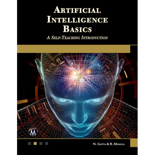 Artificial Intelligence Basics: A Self-Teaching Introduction - Paperback