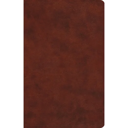 ESV Large Print Value Thinline Bible (Trutone, Chestnut) - Imitation Leather