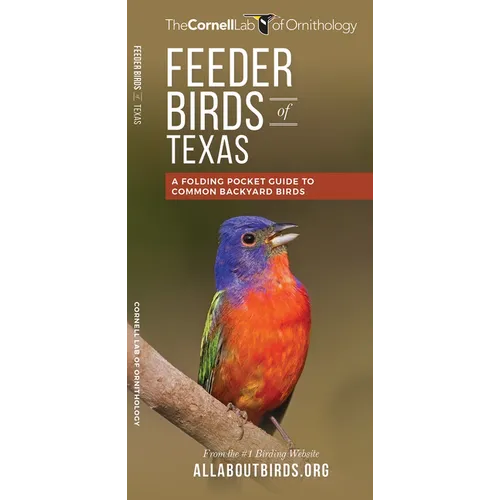 Feeder Birds of Texas: A Folding Pocket Guide to Common Backyard Birds - Paperback
