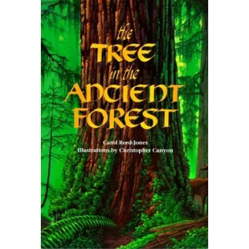 The Tree in the Ancient Forest - Paperback