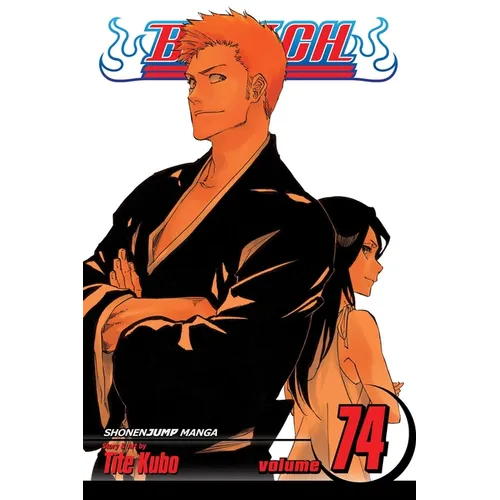 Bleach, Vol. 74: The Death and the Strawberry - Paperback