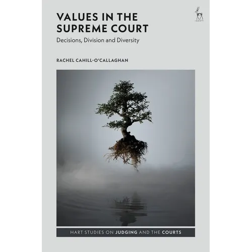 Values in the Supreme Court: Decisions, Division and Diversity - Paperback