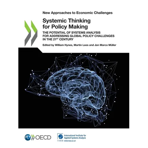 Systemic Thinking for Policy Making - Paperback