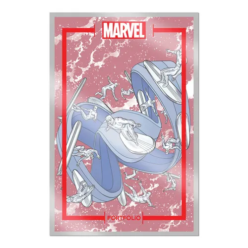 The Marvel Portfolio of Michael Allred -- Silver Surfer - Loose Leaf
