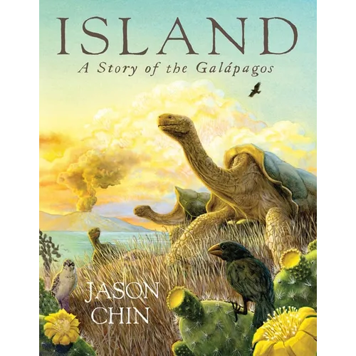 Island - Paperback