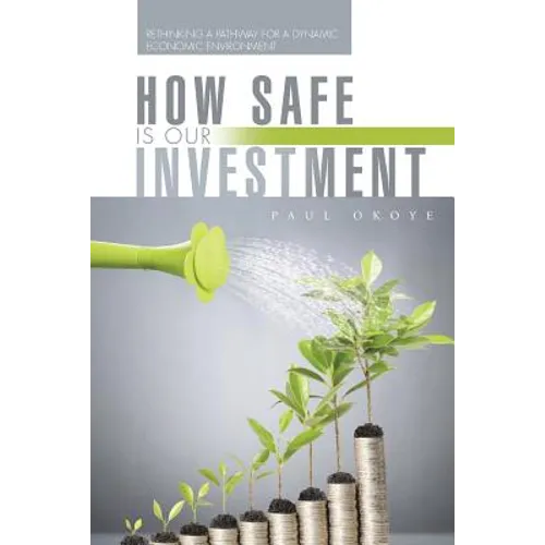 How Safe Is Our Investment: Rethinking a Pathway for a Dynamic Economic Environment - Paperback