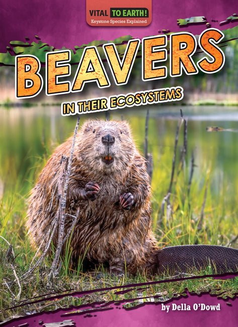 Beavers in Their Ecosystems - Library Binding