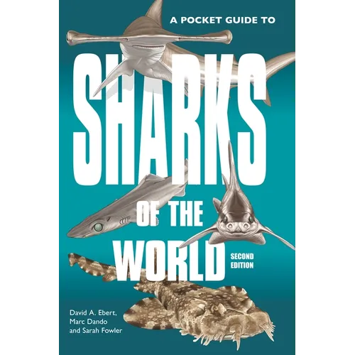 A Pocket Guide to Sharks of the World: Second Edition - Paperback