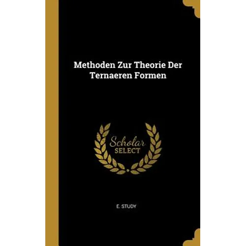 Methoden Zur Theorie Der Ternaeren Formen - Hardcover
