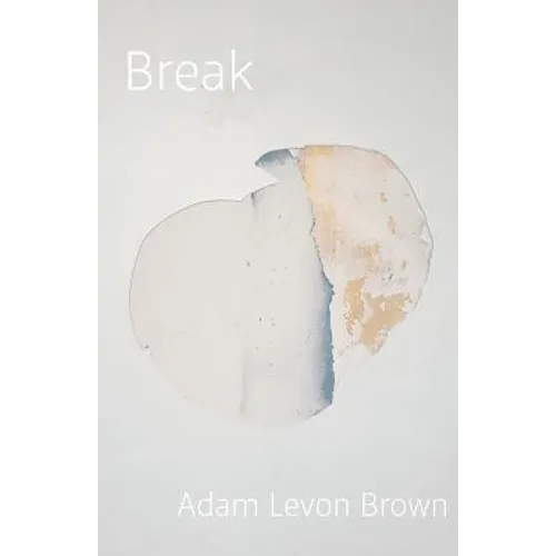 Break: poems on mental illness - Paperback