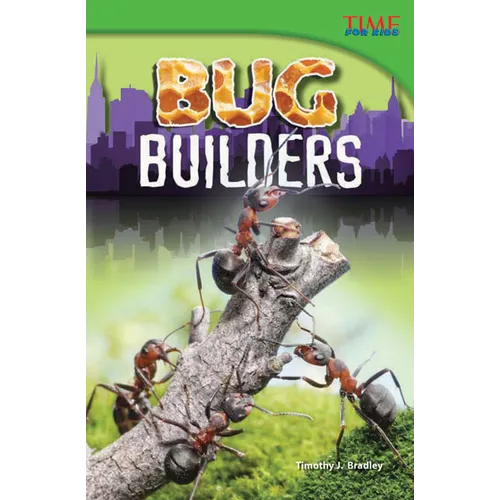 Bug Builders - Paperback