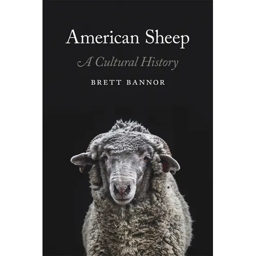 American Sheep: A Cultural History