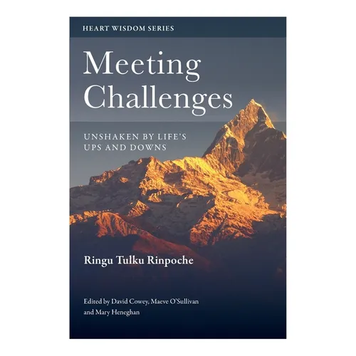 Meeting Challenges: Unshaken by Life's Ups and Downs - Paperback