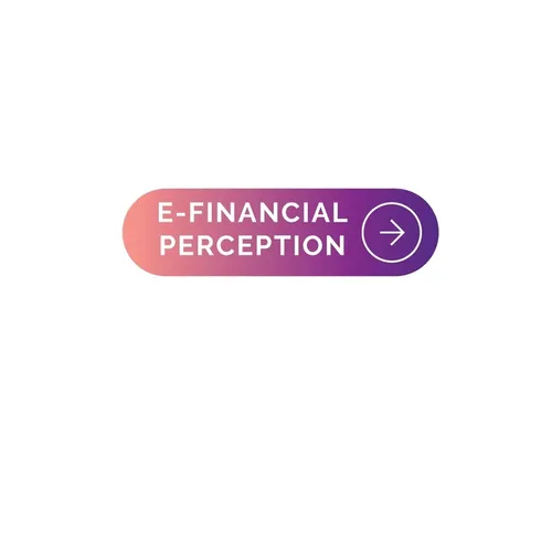 E-Financial Perception - Paperback