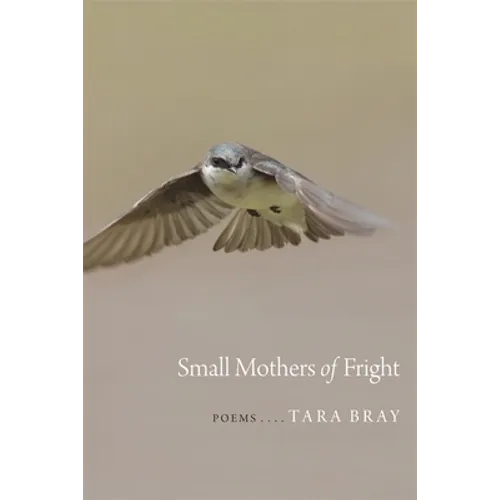 Small Mothers of Fright: Poems