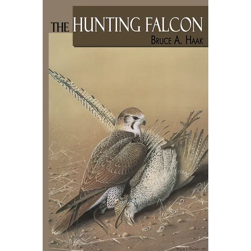 The Hunting Falcon - Hardcover