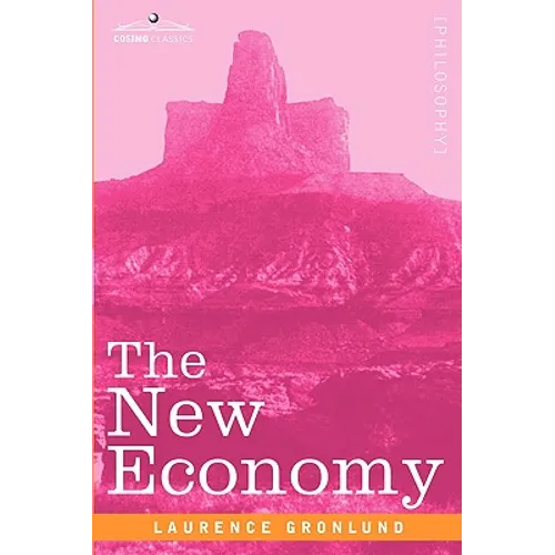 The New Economy - Paperback