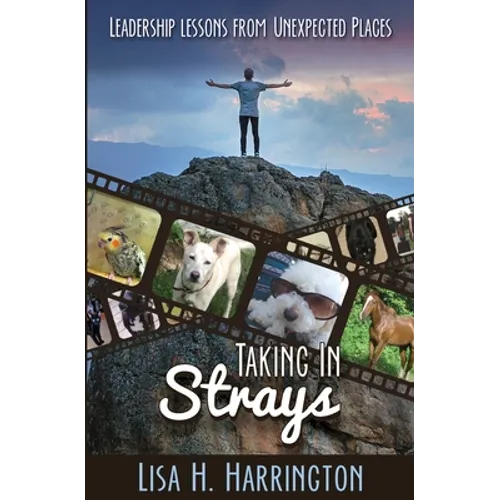 Taking In Strays: Leadership Lessons From Unexpected Places - Paperback
