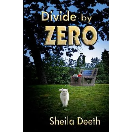 Divide by Zero - Paperback