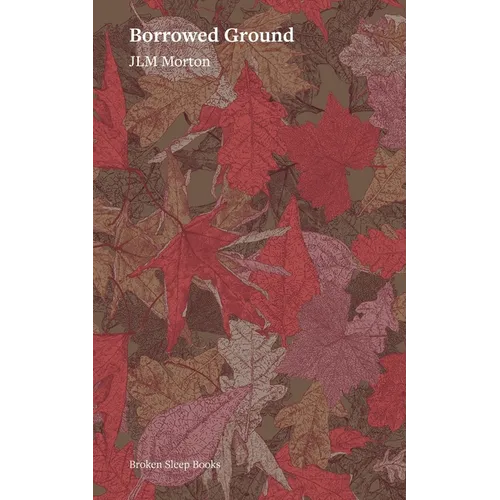 Borrowed Ground - Paperback