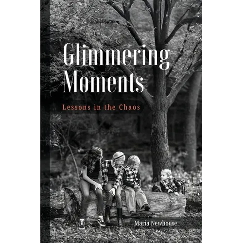 Glimmering Moments: Lessons in the Chaos - Paperback