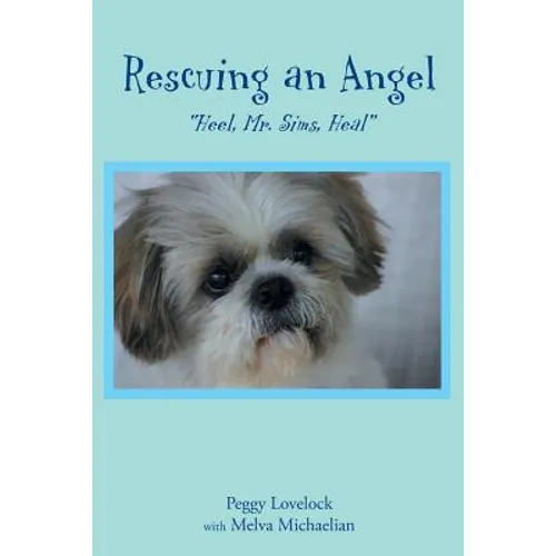 Rescuing an Angel: 