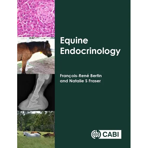 Equine Endocrinology - Paperback