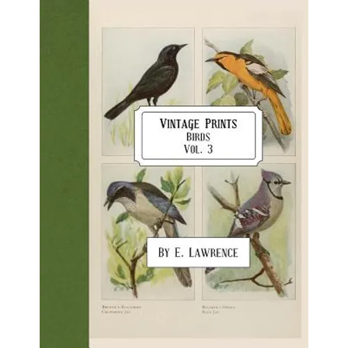 Vintage Prints: Birds: Vol. 3 - Paperback