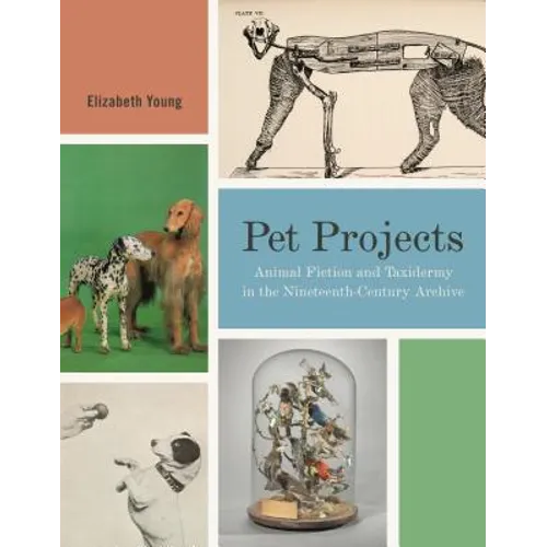 Pet Projects: Animal Fiction and Taxidermy in the Nineteenth-Century Archive - Hardcover