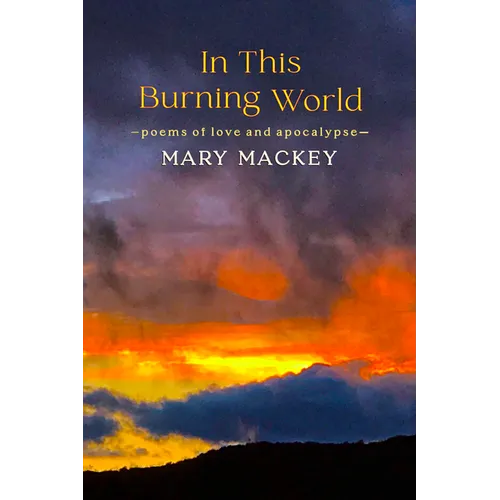 In This Burning World: Poems of Love and Apocalypse - Paperback