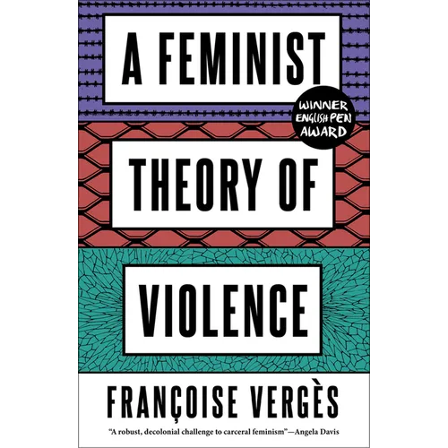 A Feminist Theory of Violence: A Decolonial Perspective - Paperback