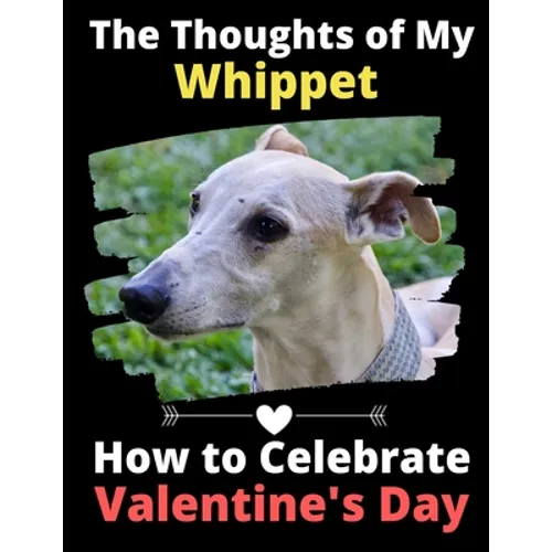 The Thoughts of My Whippet: How to Celebrate Valentine's Day