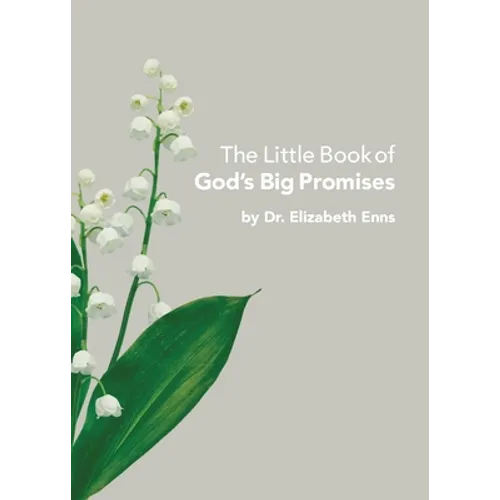 The Little Book of God's Big Promises - Paperback